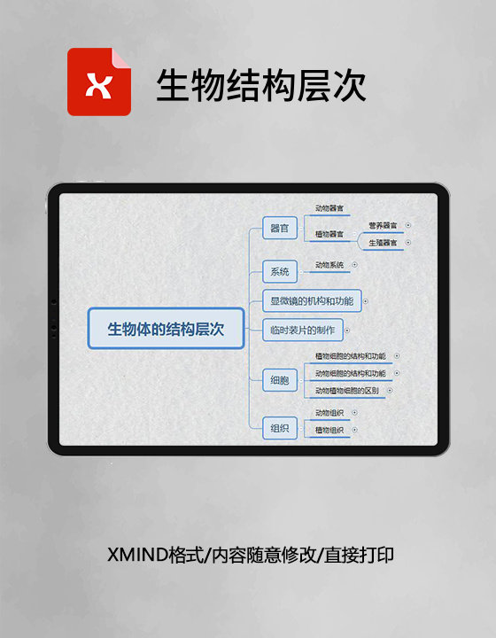 思维导图简洁生物结构层次XMind模板 思维导图简洁生物结构层次XMind模板