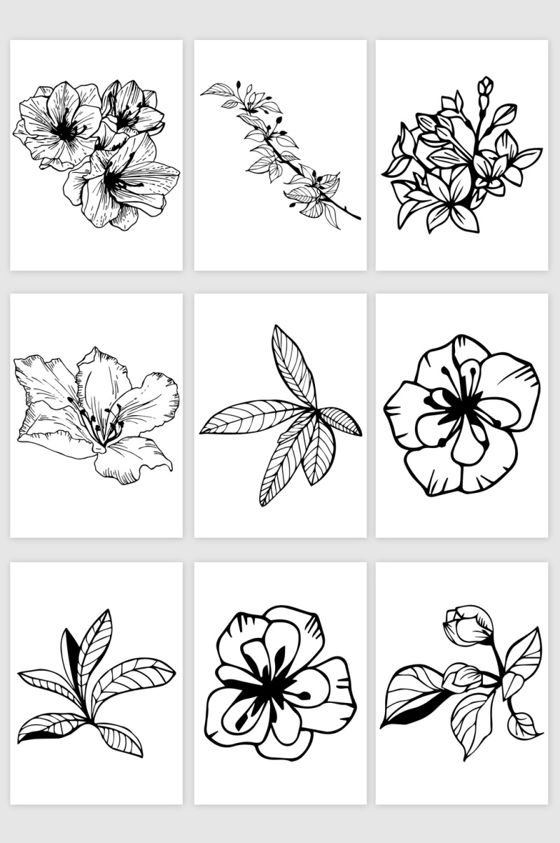 花朵素描线稿矢量素材