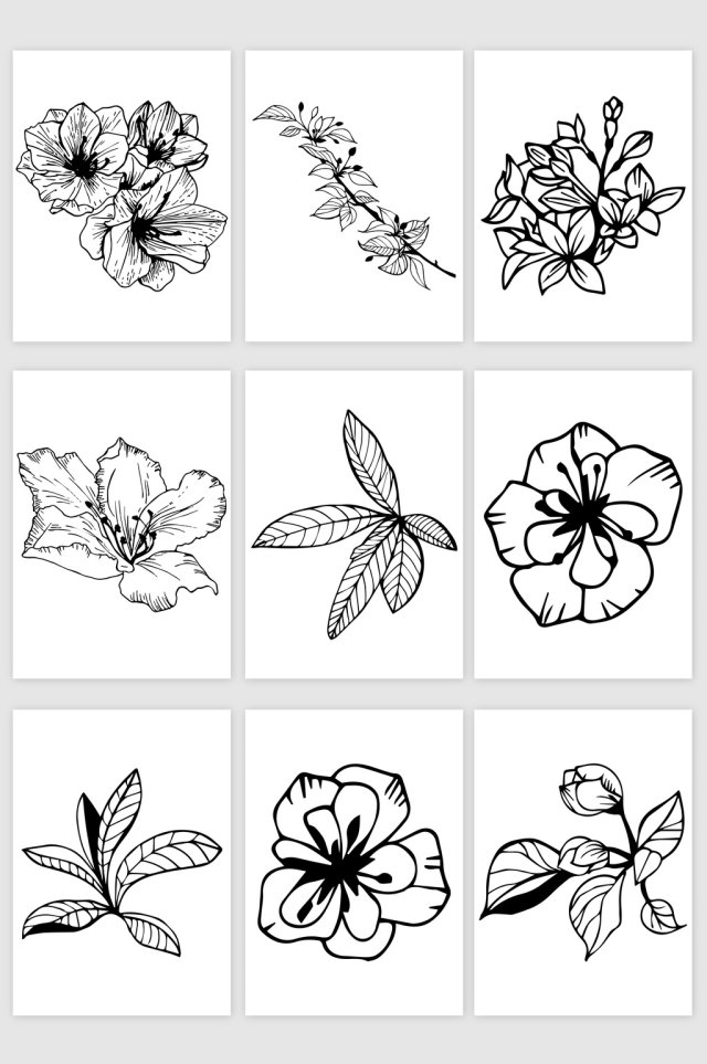 花朵素描线稿矢量素材 花朵素描线稿矢量素材
