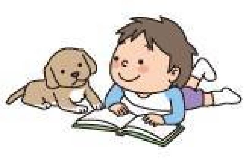 一个男孩读一只小狗