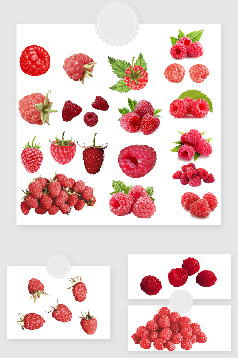 高清免抠树莓png素材