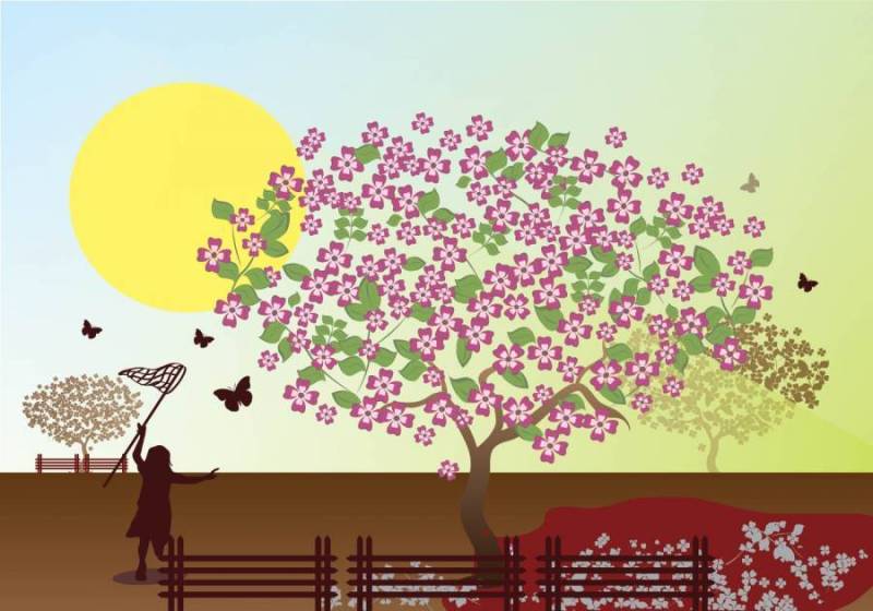 山茱萸树户外公园图