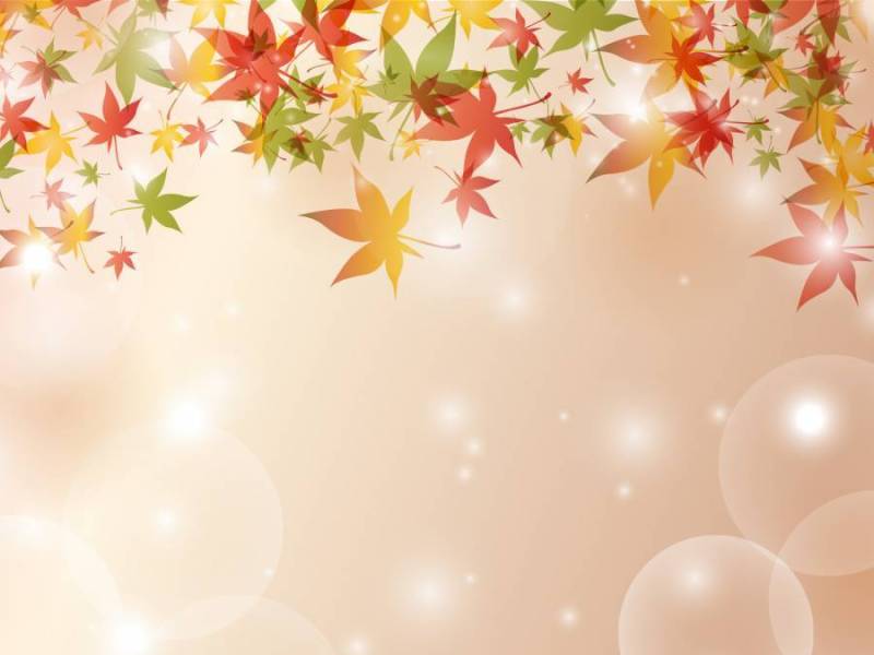 秋色背景ver03