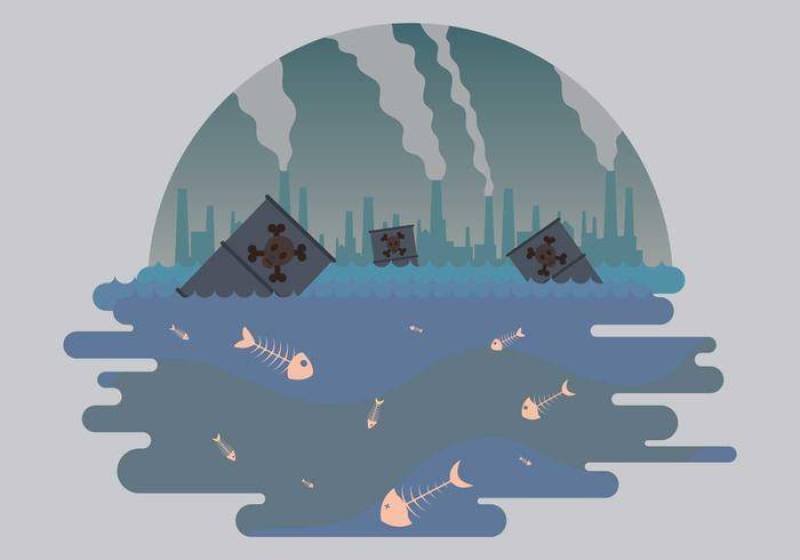 死鱼和污染的插图