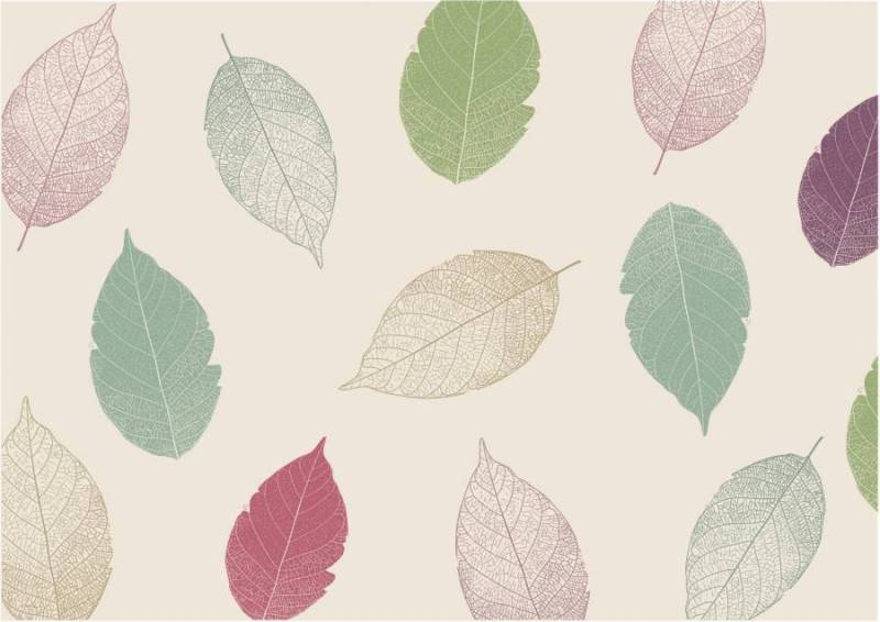 可能在秋季使用的背景材料56