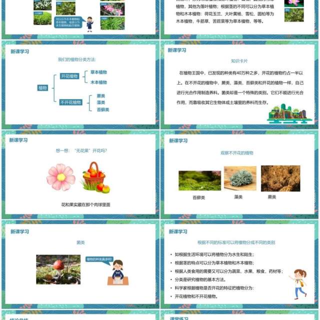 教科版六年级科学上册多种多样的植物PPT模板 教科版六年级科学上册多种多样的植物PPT模板