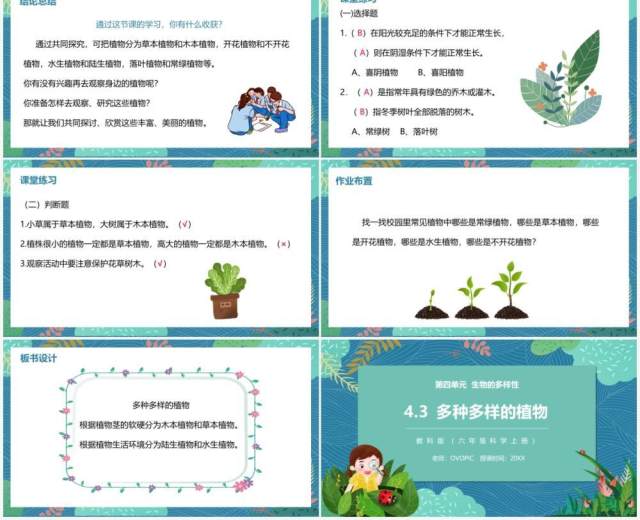 教科版六年级科学上册多种多样的植物PPT模板 教科版六年级科学上册多种多样的植物PPT模板