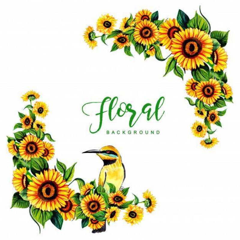 Watercolor Floral Frame Background With Bird