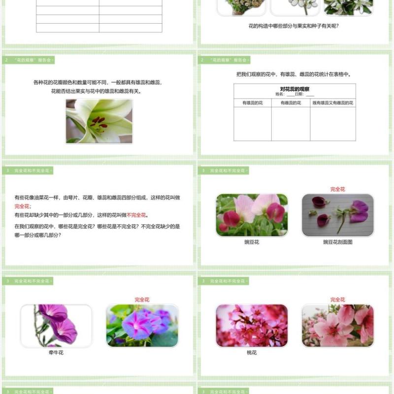 教科版四年级下册各种各样的花课件PPT模板