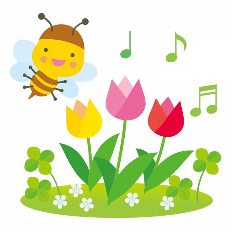 郁金香和蜜蜂的春天