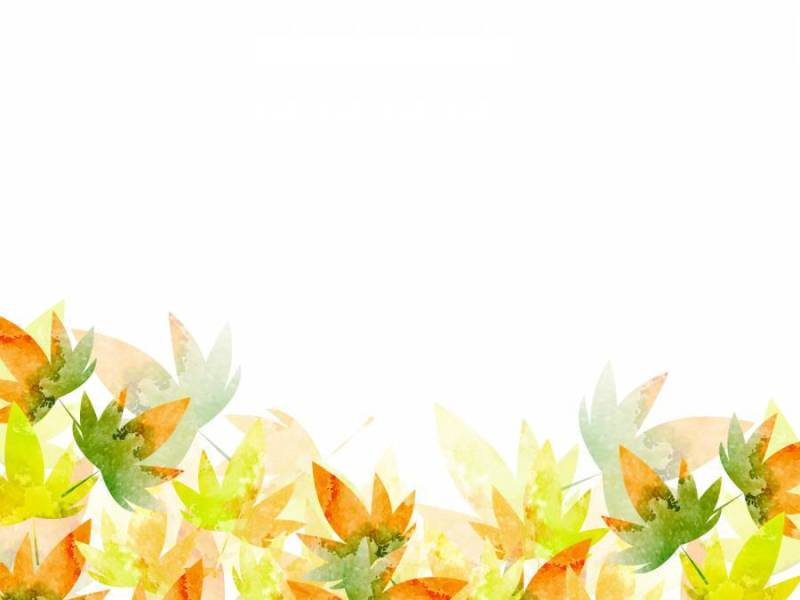 秋天的彩色框架19