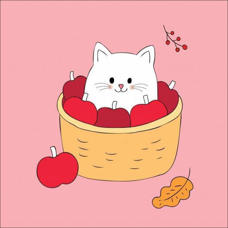 卡通可爱的秋天猫在篮子苹果矢量。