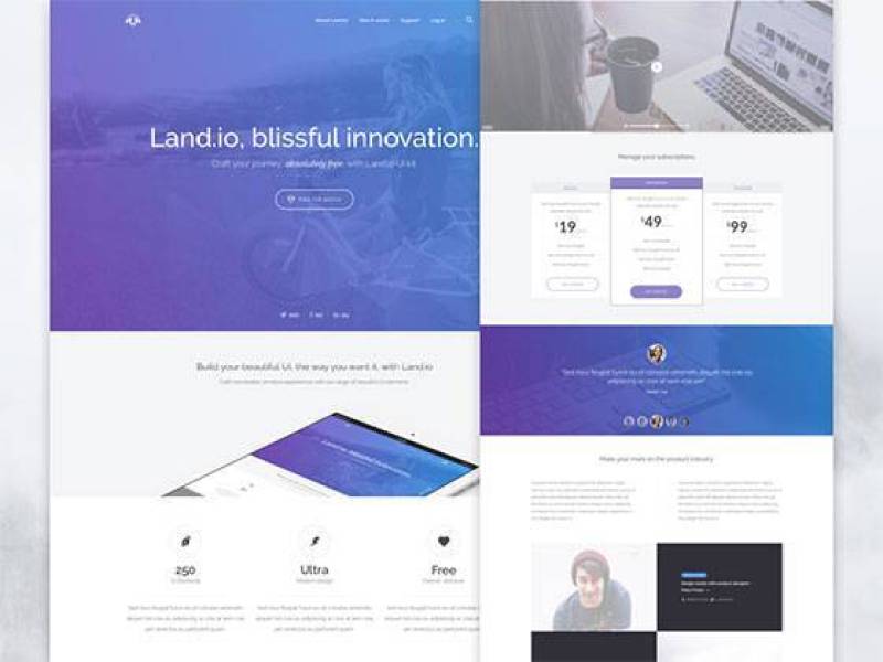 Landio Landing Page
