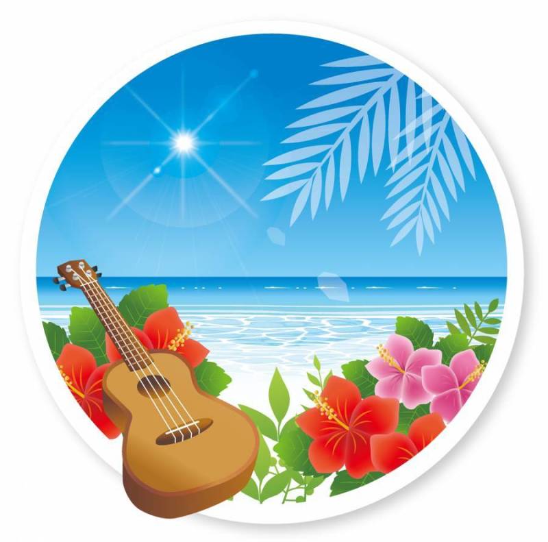 夏天的海和芙蓉和夏威夷四弦琴