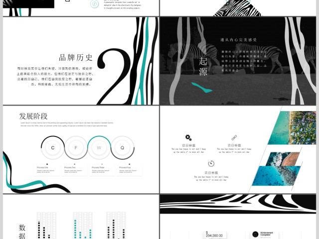 斑马族创意时尚品牌宣传简介动态ppt 斑马族创意时尚品牌宣传简介动态ppt