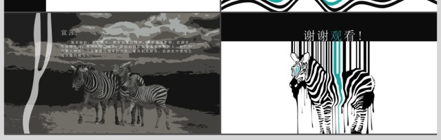 斑马族创意时尚品牌宣传简介动态ppt 斑马族创意时尚品牌宣传简介动态ppt