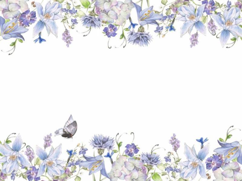 花框198 - 凉爽的蓝色和凉爽的彩色蝴蝶
