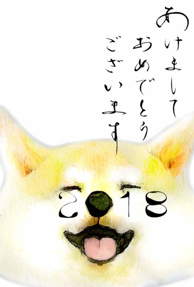 新年卡号2018年