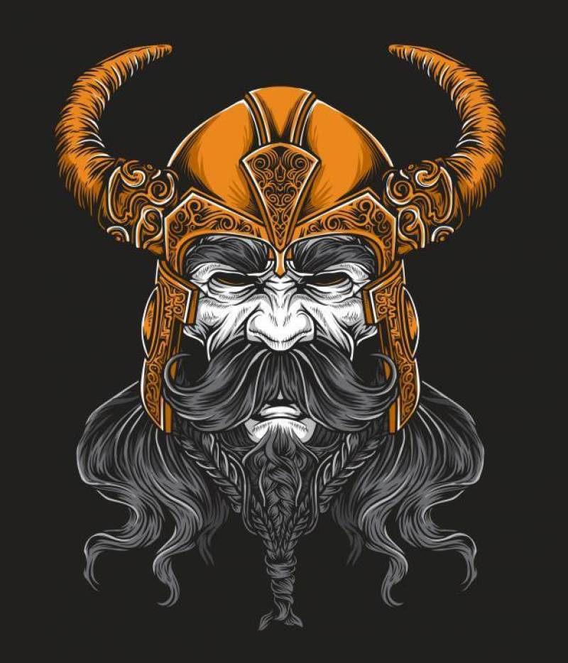 Viking king vector