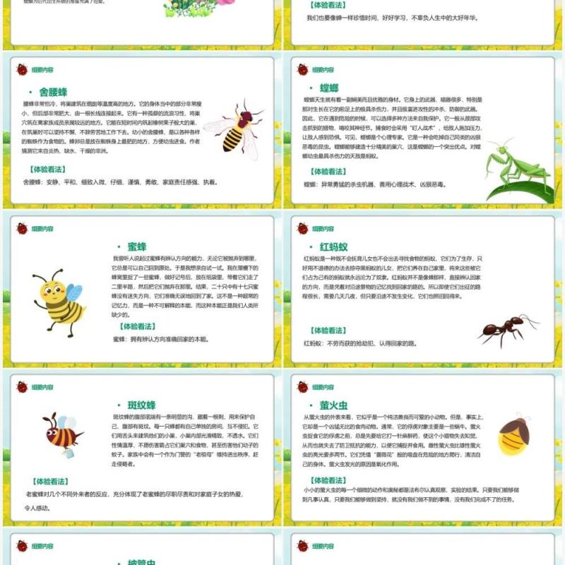 绿色卡通昆虫记文学作品介绍PPT模板