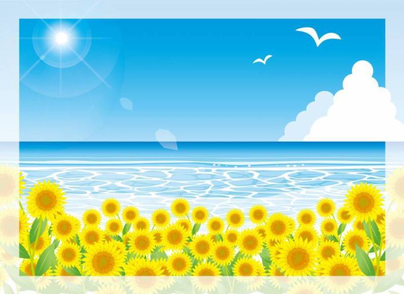 向日葵和夏季海上的阳光