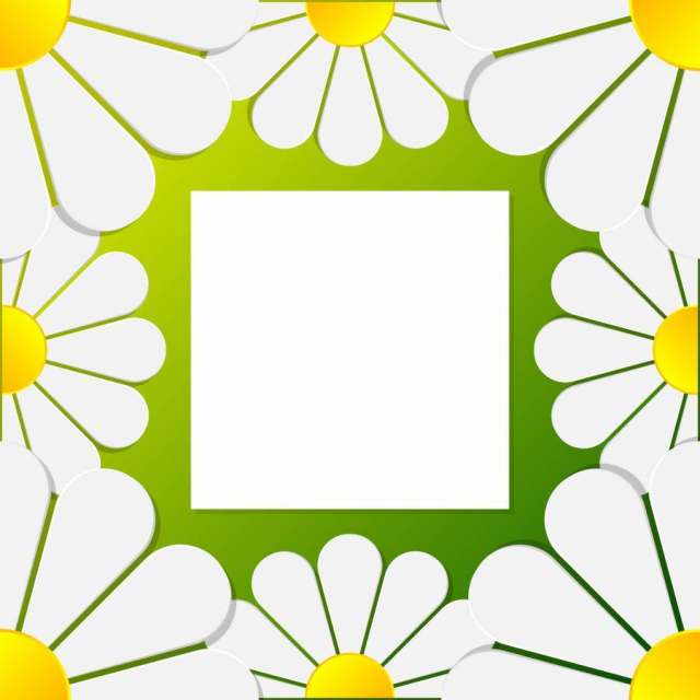 纸3d花艺术花卉框架模式