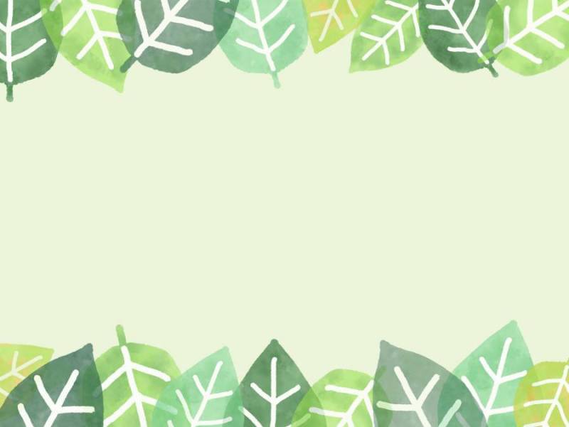 上部框架：叶子