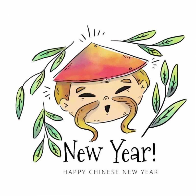 可爱的中国男孩头与叶和帽子到农历新年