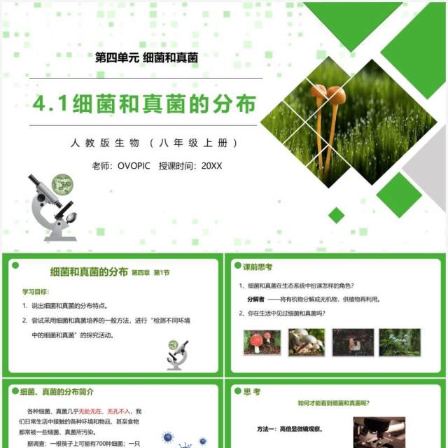 部编版八年级生物上册细菌和真菌的分布PPT模板