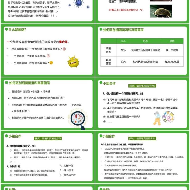 部编版八年级生物上册细菌和真菌的分布PPT模板