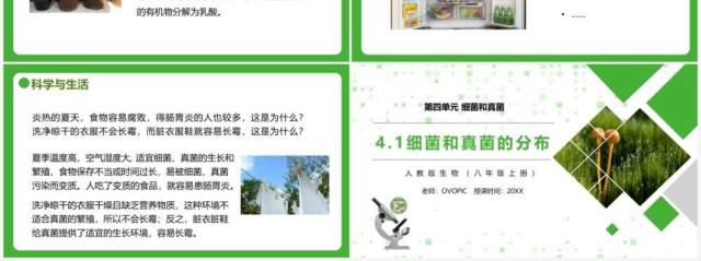 部编版八年级生物上册细菌和真菌的分布PPT模板 部编版八年级生物上册细菌和真菌的分布PPT模板