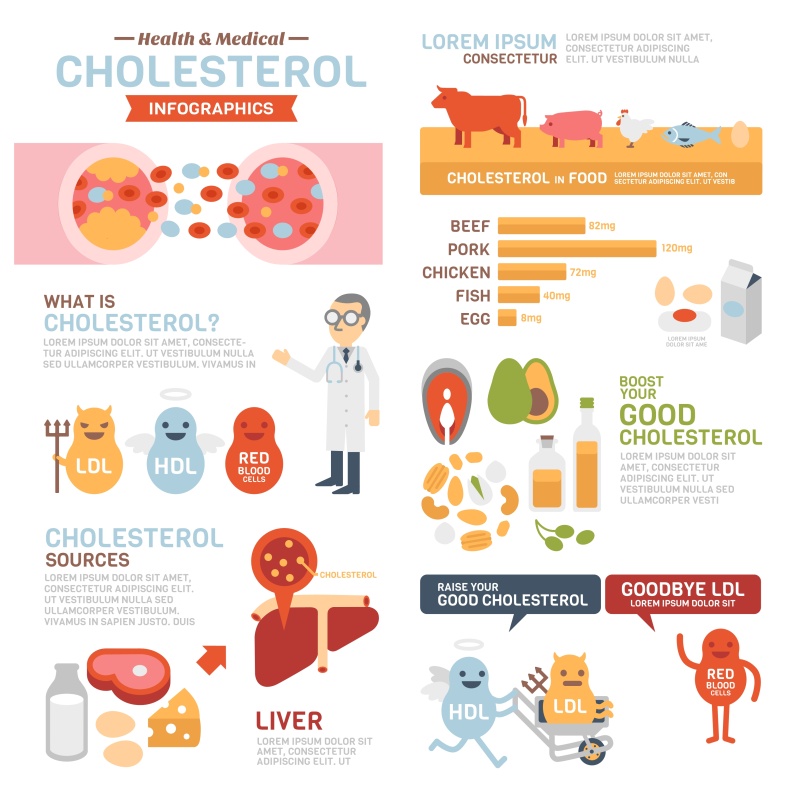医学胆固醇信息图