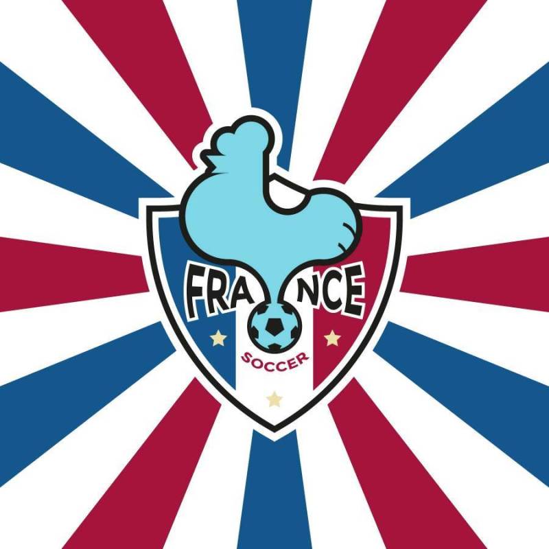 法国足球徽章