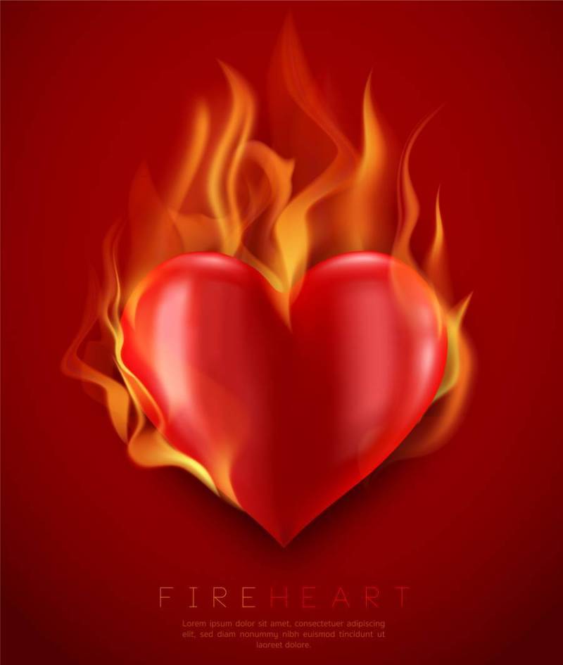 矢量火焰状的心的插图