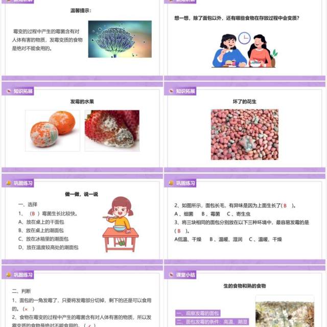 教科版四年级下册面包发霉了课件PPT模板 教科版四年级下册面包发霉了课件PPT模板