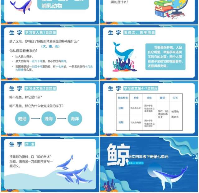 部编版四年级语文下册鲸课件PPT模板 部编版四年级语文下册鲸课件PPT模板