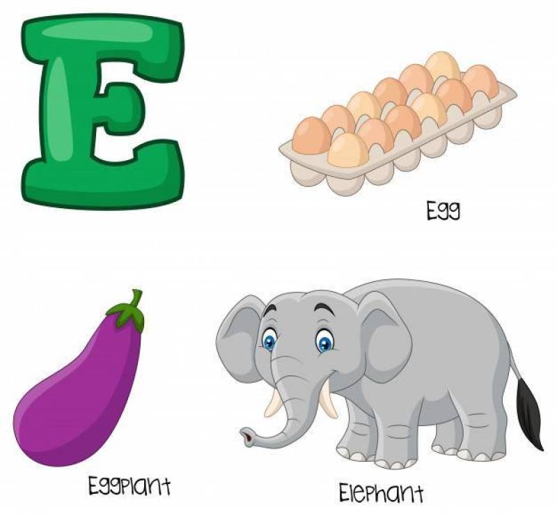 E字母表的例证