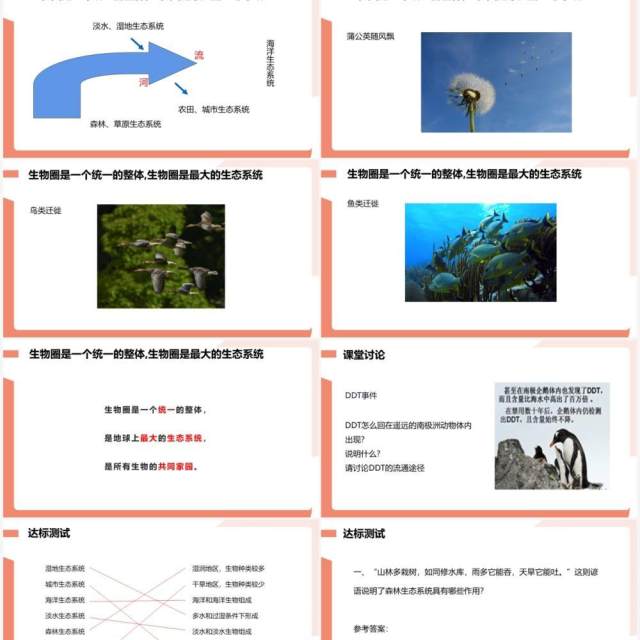 部编版七年级生物上册生物圈是最大的生态系统课件PPT模板