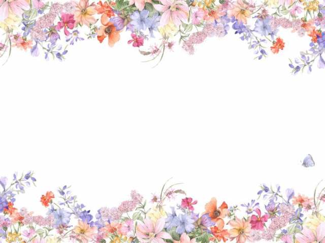 花框架159 - 各种花的花框架框架