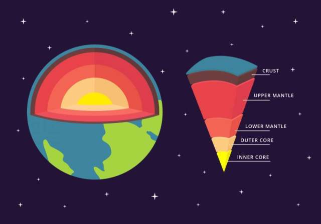 地球传染媒介Infographic的结构