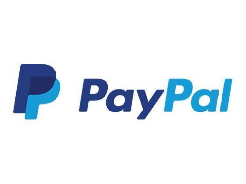 PayPal 标志国外支付LOGO