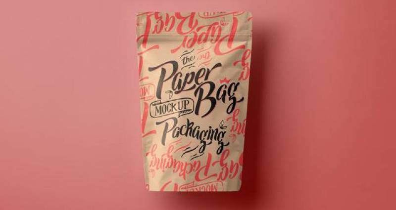 Psd纸袋包装Vol3