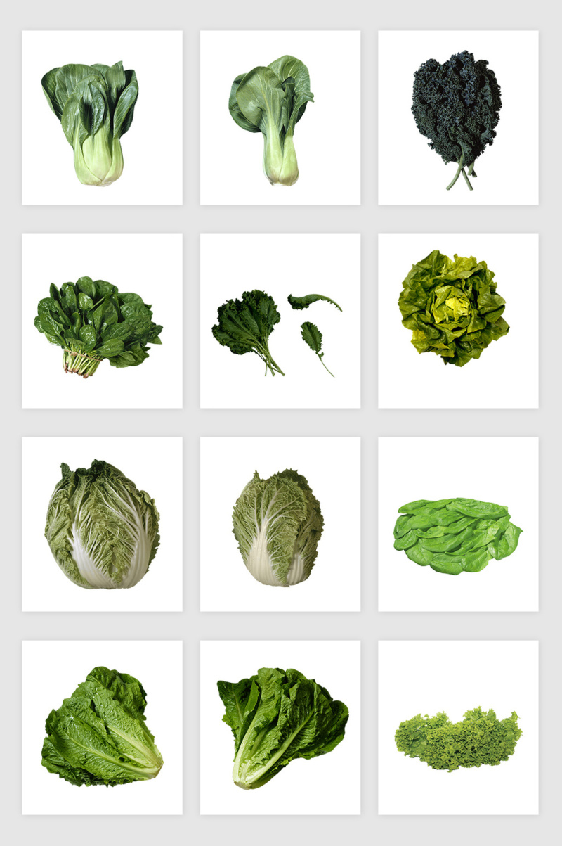 高清免抠蔬菜青菜素材