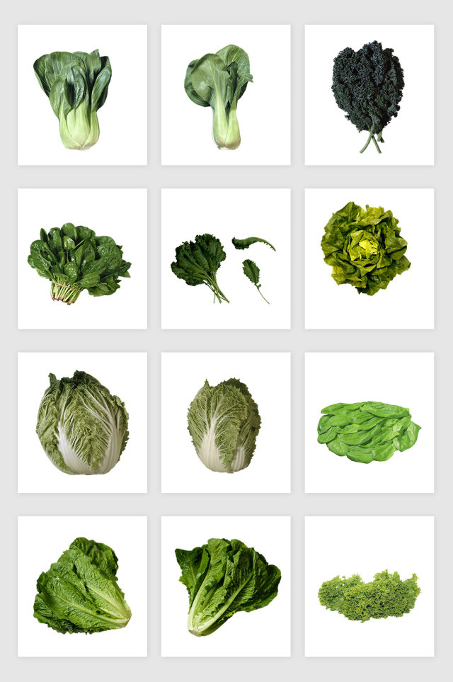 高清免抠蔬菜青菜素材 高清免抠蔬菜青菜素材