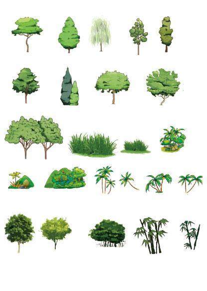 植物 树木