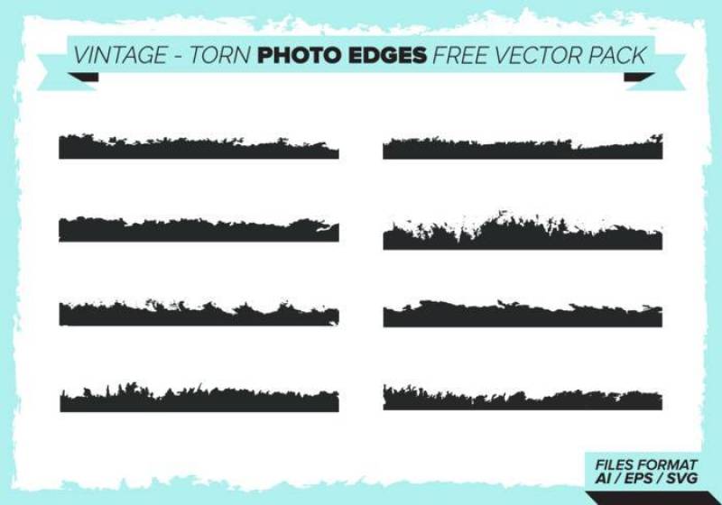 复古撕裂的照片边缘 矢量包