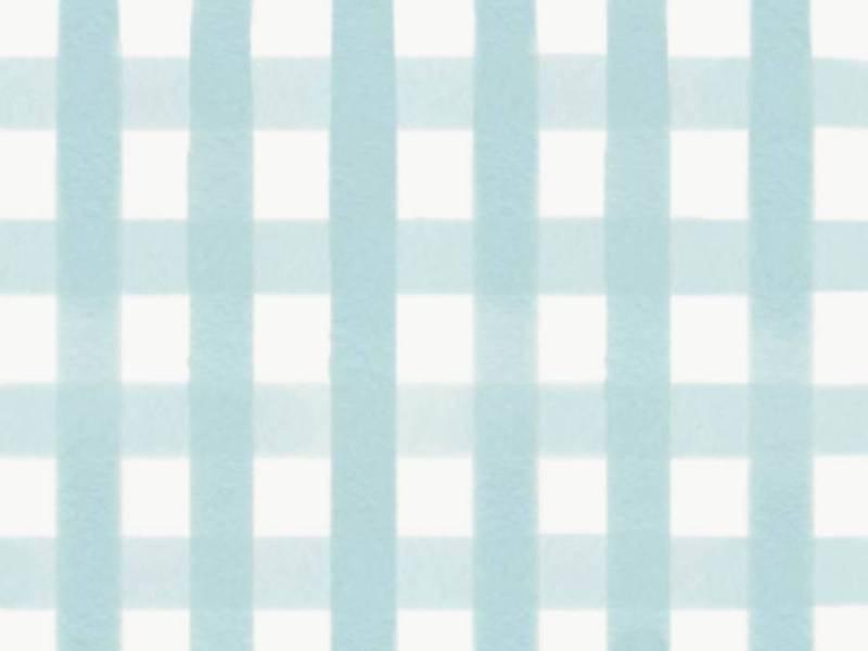 蓬松的淡蓝色方格布式检查