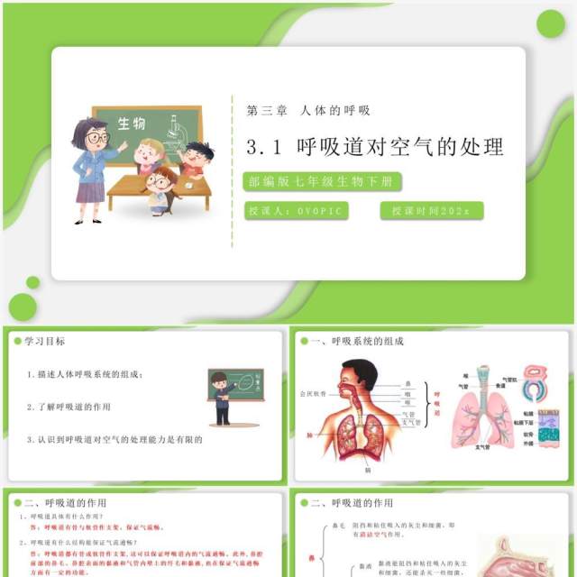 部编版七年级生物下册呼吸道对空气的处理课件PPT模板 部编版七年级生物下册呼吸道对空气的处理课件PPT模板