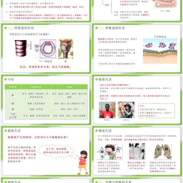部编版七年级生物下册呼吸道对空气的处理课件PPT模板 部编版七年级生物下册呼吸道对空气的处理课件PPT模板