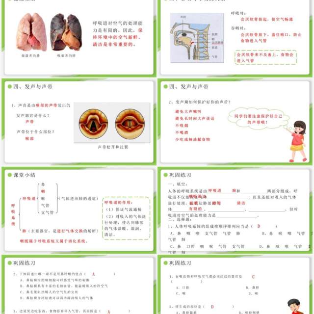 部编版七年级生物下册呼吸道对空气的处理课件PPT模板